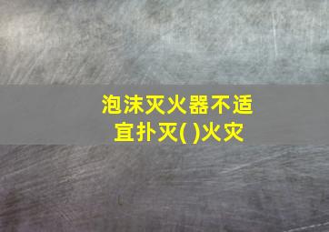 泡沫灭火器不适宜扑灭( )火灾